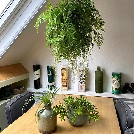 Апартаменты In De Wolken *